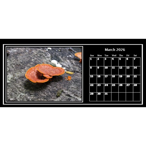 My Perfect Desktop Calendar 11x5 By Deborah Mar 2026