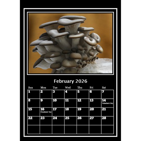 My Perfect Desktop Calendar (6x8 5) By Deborah Feb 2026