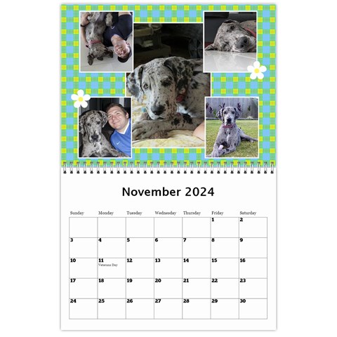 Sunny Days Wall Calendar By Deborah Nov 2024