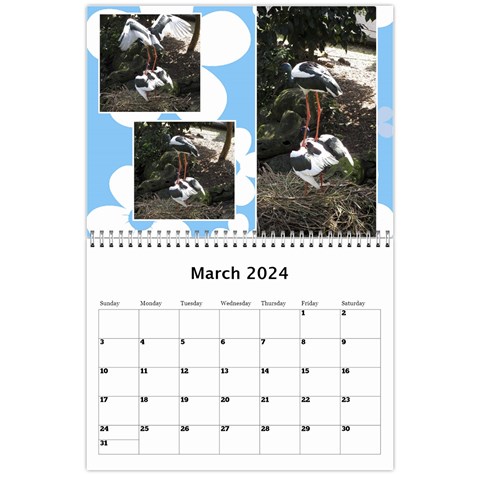 Sunny Days Wall Calendar By Deborah Mar 2024
