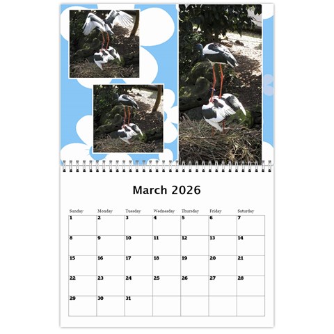 Sunny Days Wall Calendar By Deborah Mar 2026