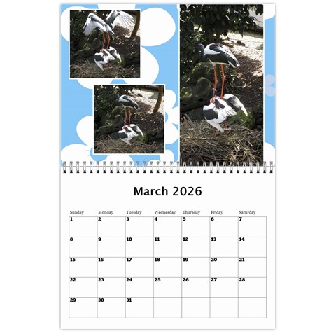 Sunny Days Wall Calendar By Deborah Mar 2024