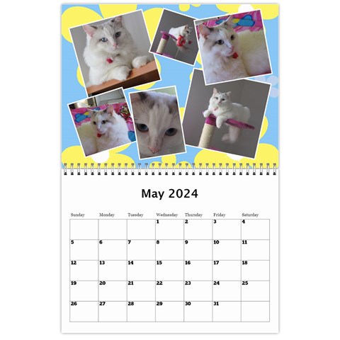 Sunny Days Wall Calendar By Deborah May 2024