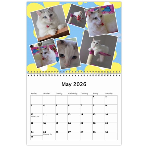 Sunny Days Wall Calendar By Deborah May 2026