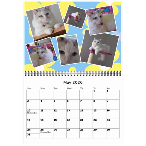 Sunny Days Mini Wall Calendar By Deborah May 2026