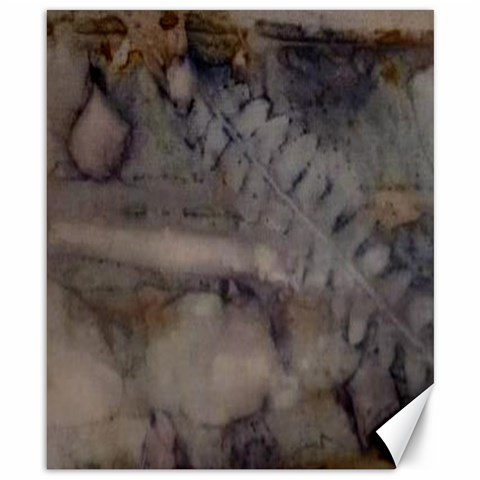 Fern By Monasol Earthlink Net 8.15 x9.66  Canvas - 1