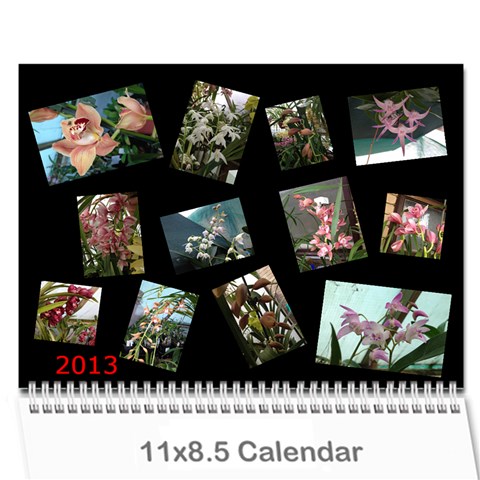 206  Noelas Orchid Calendars By Danielle Willis Cover