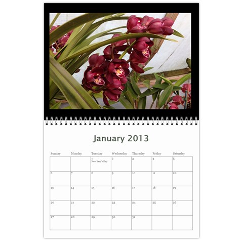 206  Noelas Orchid Calendars By Danielle Willis Jan 2013