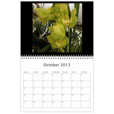 206  Noelas Orchid Calendars By Danielle Willis Oct 2013