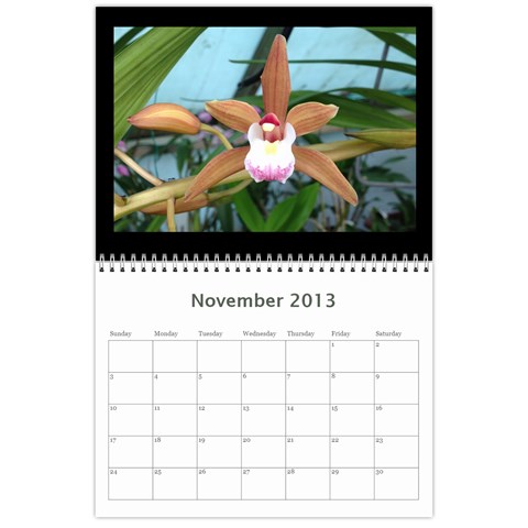206  Noelas Orchid Calendars By Danielle Willis Nov 2013