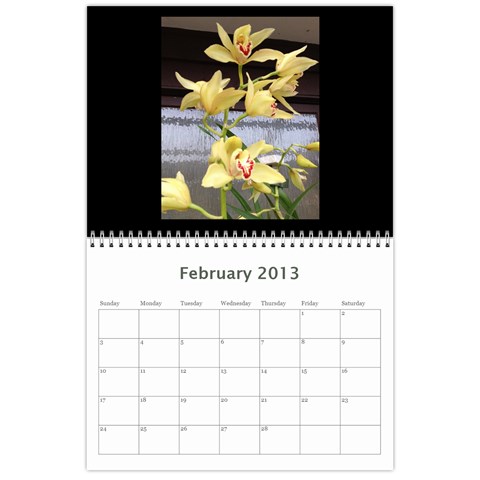 206  Noelas Orchid Calendars By Danielle Willis Feb 2013