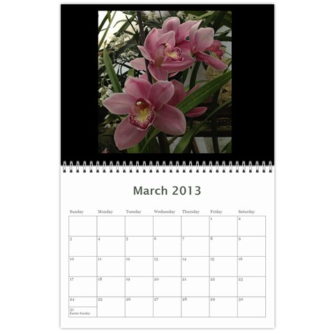 206  Noelas Orchid Calendars By Danielle Willis Mar 2013