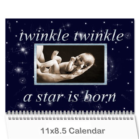 Twinkle Twinkle A Star Is Born 2024 Calendar By Catvinnat Cover