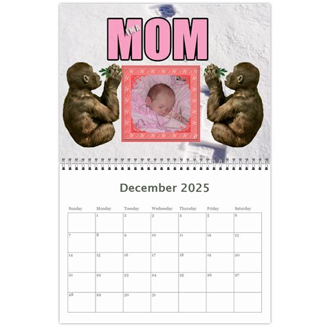 2025 Animal Calendar 2 By Kim Blair Dec 2025