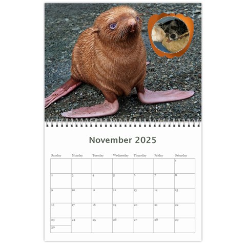 Animal Calendar 2025 By Kim Blair Nov 2025