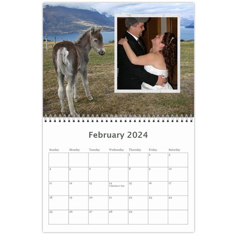 Animal Calendar 2024 By Kim Blair Feb 2024