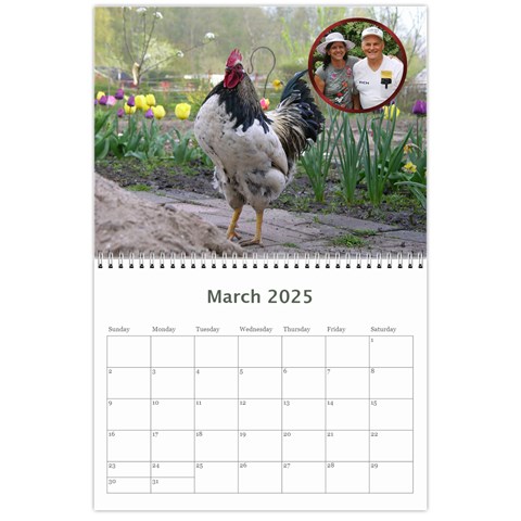 Animal Calendar 2025 By Kim Blair Mar 2025