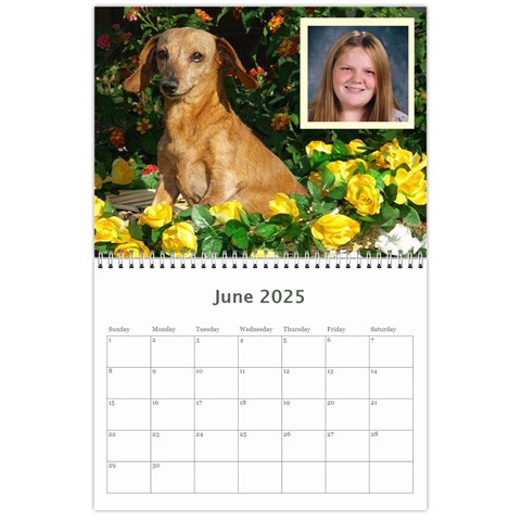 Animal Calendar 2025 By Kim Blair Jun 2025