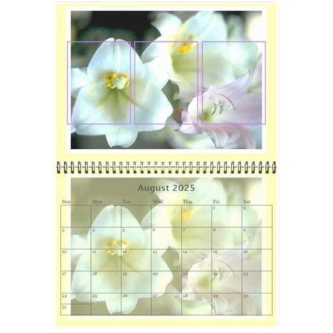 Precious Moments 8 5x6 Wall Calendar By Birkie Aug 2025
