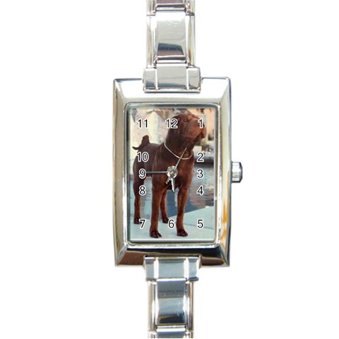 Watch By Joanne Cameron Front