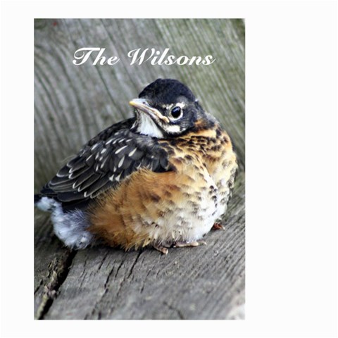 Spring Bird By Patricia W Back