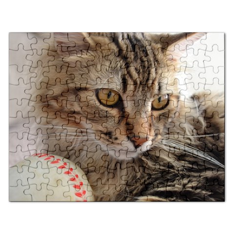 Jigsaw Puzzle Front