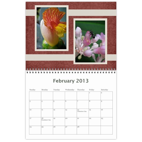 Damask Calendar For 2013 By Mim Feb 2013