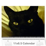 karate Cats - Wall Calendar 11  x 8.5  (12-Months)