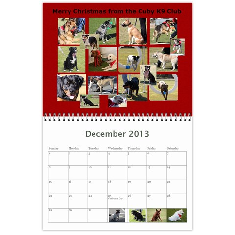 Cuby 2013 By Amanda Dec 2013