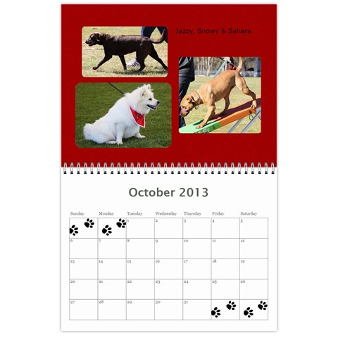 Cuby 2013 By Amanda Oct 2013