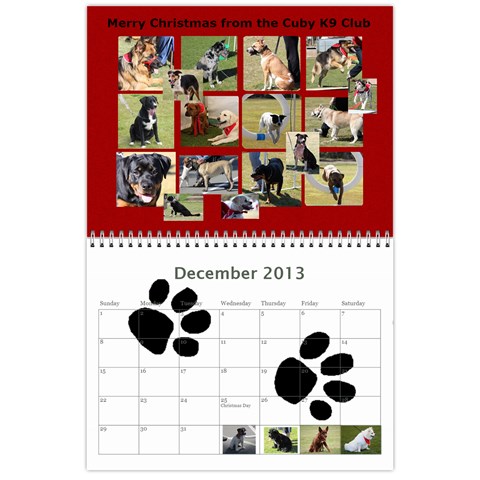 Cuby 2013 By Amanda Dec 2013