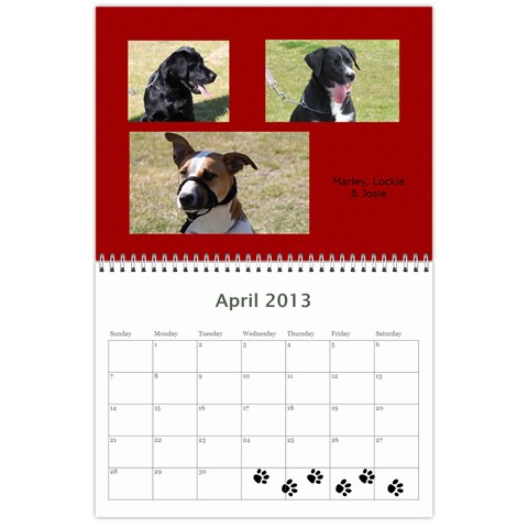 Cuby 2013 By Amanda Apr 2013