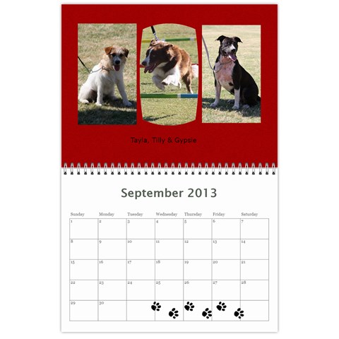 Cuby 2013 By Amanda Sep 2013
