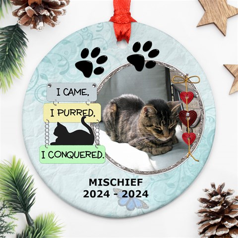 Cat Rememberance Ornament (1 Sided) By Lil Front