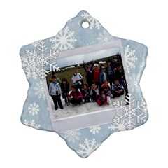 3v - Ornament (Snowflake)
