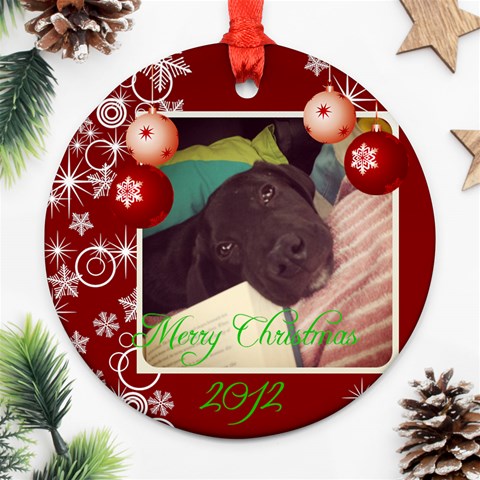 Stanley By Sherry Olford Front