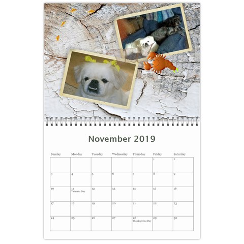 Ocean Life Calendar 2019 By Kim Blair Nov 2019