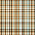 lil pumpkin_plaid