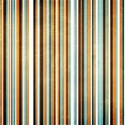 lil pumpkin_stripe copy