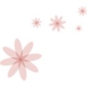 Embellishment