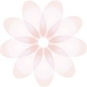 Embellishment