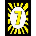 7 Y