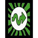 skip card green