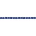 FranB_Pirate_ribbon_blue