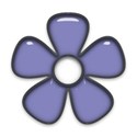 FranB_SlumberParty_glassflower2