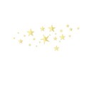 Star cluster