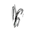 Vine