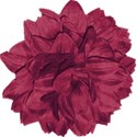 BOS HR flower04