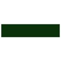 dark green strip wide