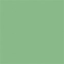 light green square